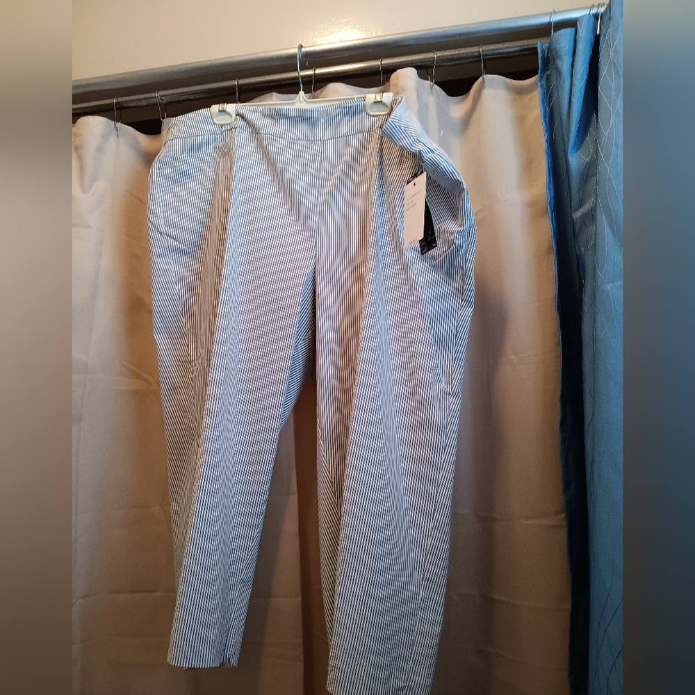 Women's Blue Striped Pants